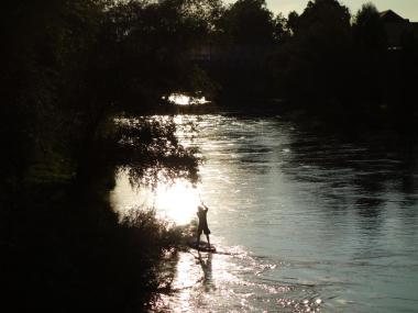 Das Zuhause der Bienen liegt direkt an der Donau