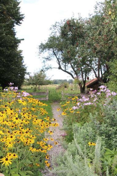 Ein kleiner Einblick in unseren Garten