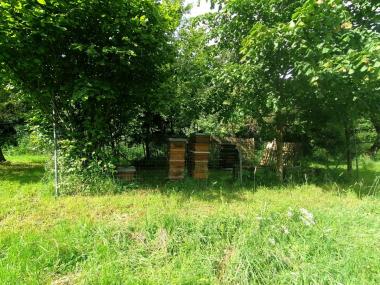 Bienen Stöcke am Ortsrand
