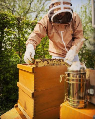 Arbeit am Bienenstand