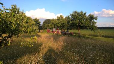 Mein Bienenstand