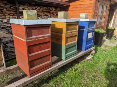 Bienenstand