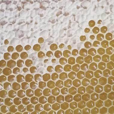 Bienenwaben