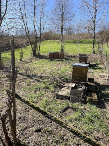 Unseren Bienenstand
