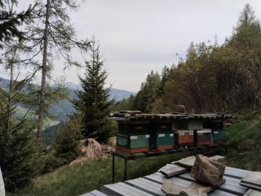 Kärnten (Österreich)