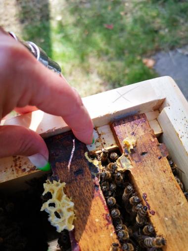 meine Außendienstmitarbeiterinnen 💛