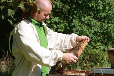Zum Wohl der Bienen, zum Nutzen der Natur, zur Freude am Honig.