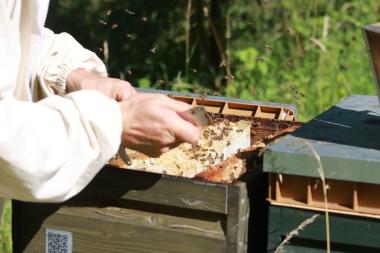 Zum Wohl der Bienen, zum Nutzen der Natur, zur Freude am Honig.