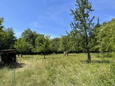 Bienenstand am Rauhen Kulm auf einer Fallobstwiese