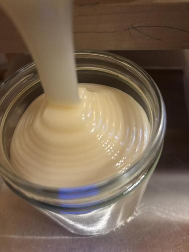 Frühjahrshonig beim Abfüller