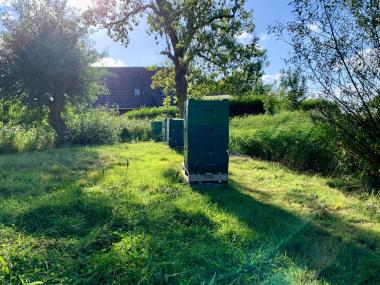 Bienenvölker im Garten