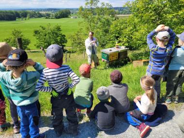 Kindergärten übernehmen Bienen-Patenschaften 