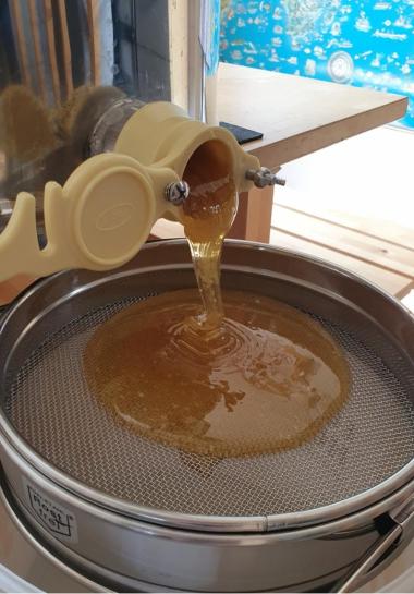 Frisch geschleuderter Honig 