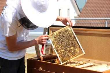Bei der Schwarmkontrolle