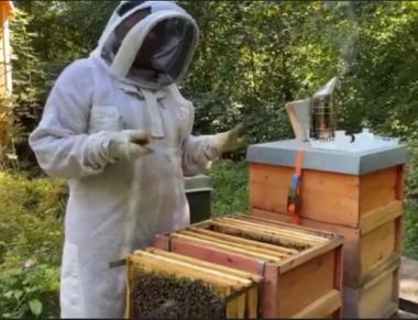 Deborah bei der Durchsicht