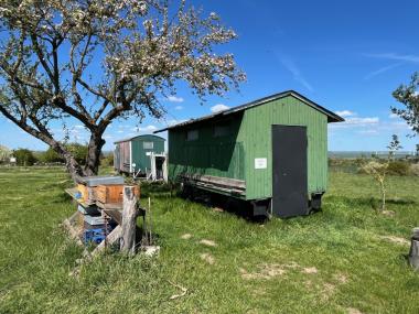 Unser Bienenstand im traditionellen Bienenwagen