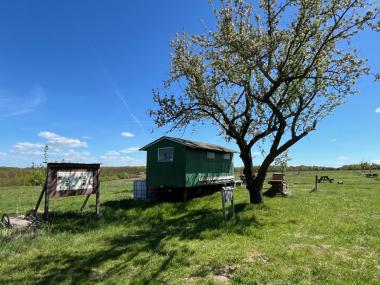 Bienenstand mit Infotafel und Schaubeute