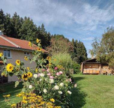 Bienenstand im eigenen Garten
