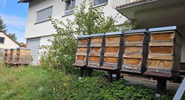 Standort Nassach