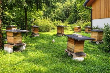 Der Siebenstern   In Anlehnung an Rudolf Steiners Betrachtungen über das Wesen der Bienen kann der Siebenstern als Sinnbild für Harmonie, Rhythmus und die Verbindung des Bienenvolkes mit den natürlichen Lebenskräften verstanden werden. Die sieben Bienenvölker werden sternförmig angeordnet und bilden so einen symbolischen Raum der Gemeinschaft und Verbundenheit.