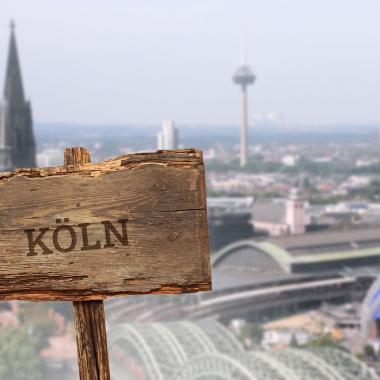 Bienenpatenschaft Köln