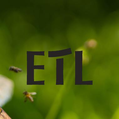 Bienenpatenschaft ETL