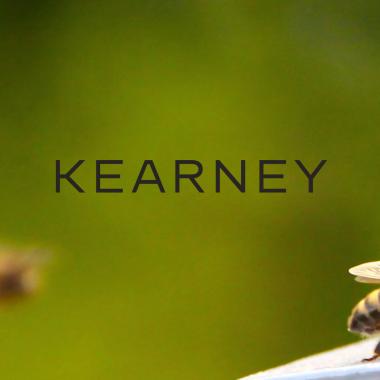 Bienenpatenschaft Kearney